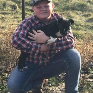 Meet your Posher, Henry